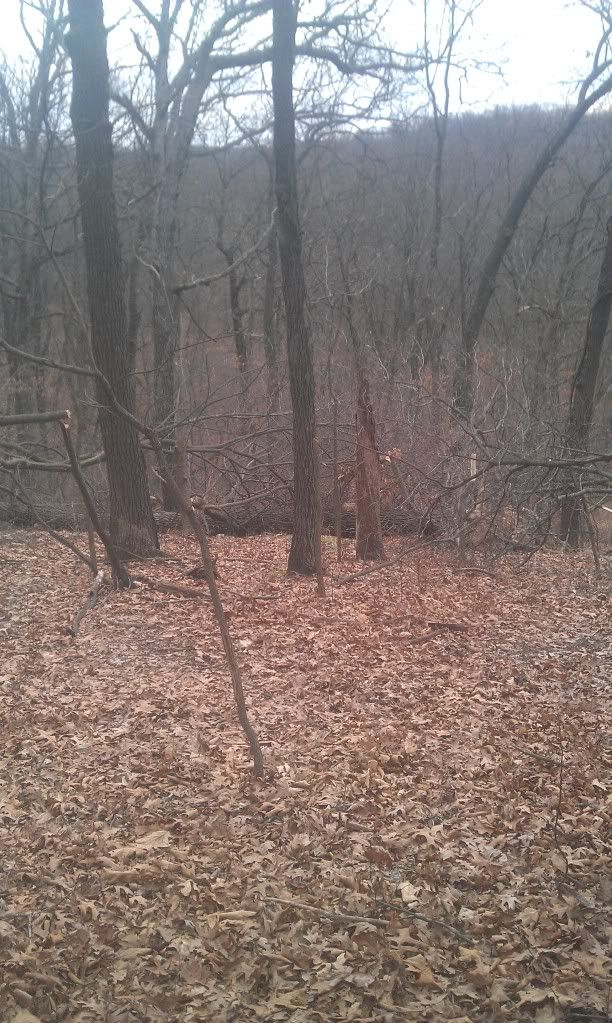 Creating deer bedding areas